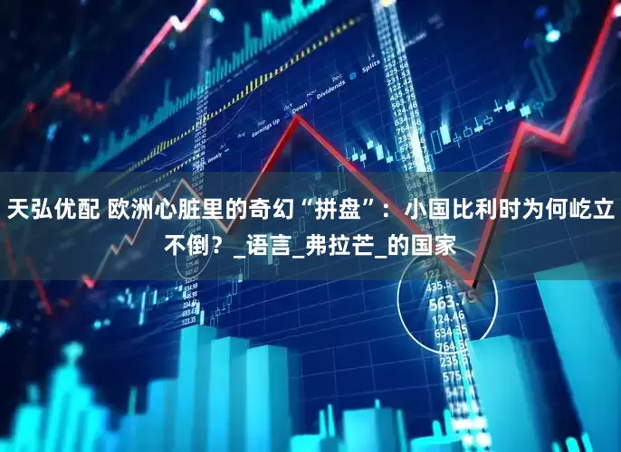 天弘优配 欧洲心脏里的奇幻“拼盘”：小国比利时为何屹立不倒？_语言_弗拉芒_的国家